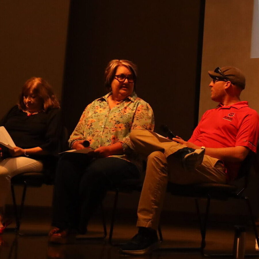 A group of people on a stage talking during a professional development session.